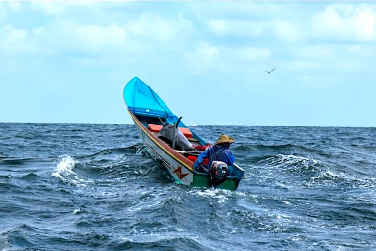Galeri Foto